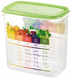 Container Vitaline 1,5 L, salad